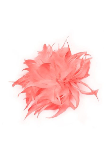 776000000000 Bianca Blomst hos NINNA i Næstved og Ringsted